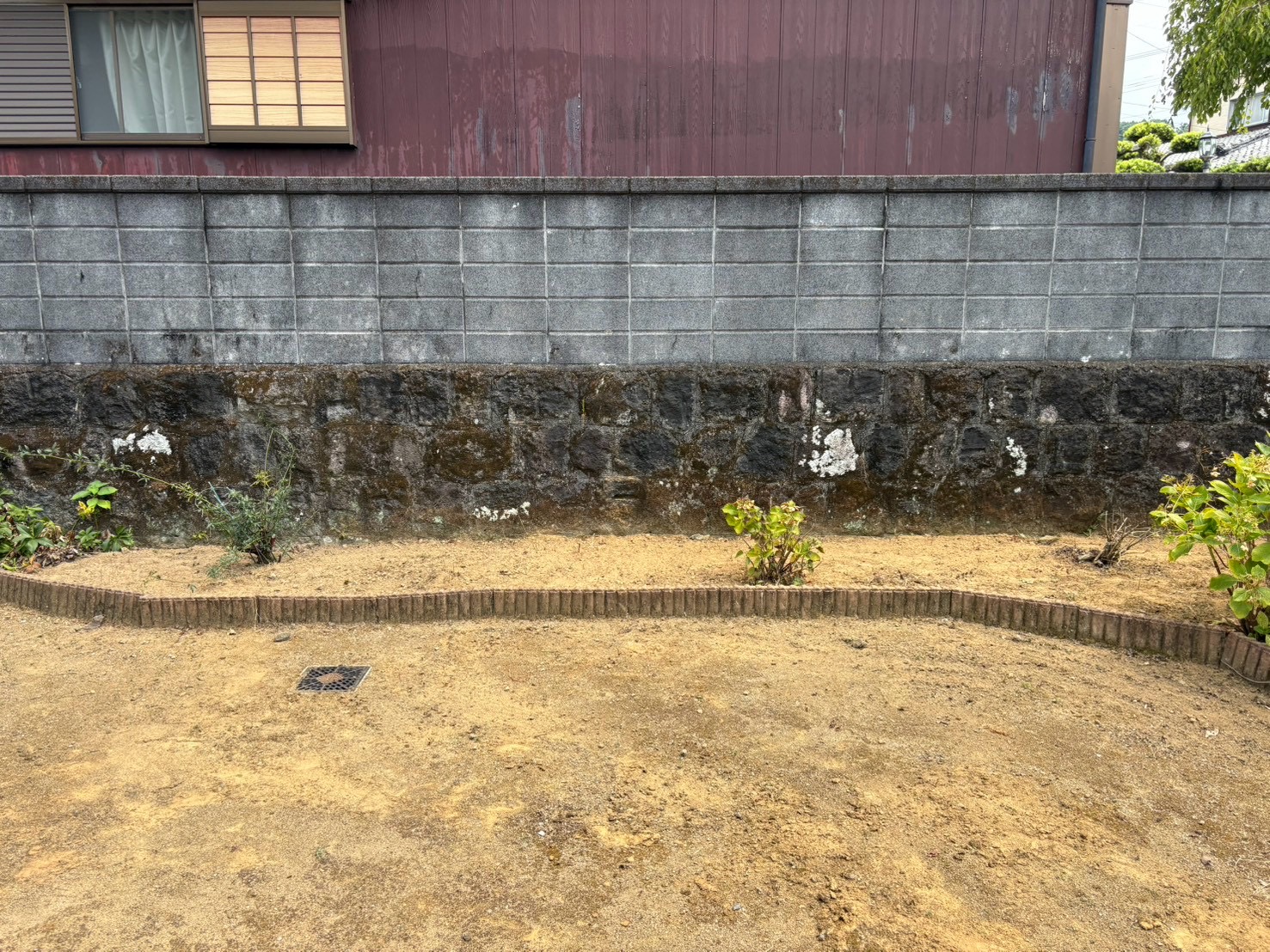 雲仙市での草刈り作業